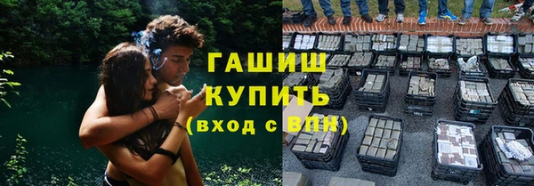 сатива Медногорск