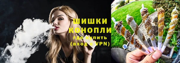 сатива Медногорск
