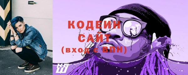 СК Мегион