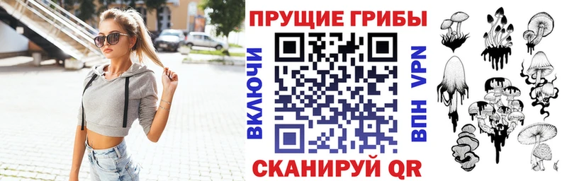 Псилоцибиновые грибы Psilocybine cubensis  Приволжский 